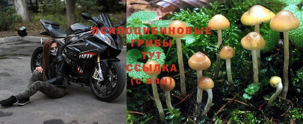 кокаин перу Покров